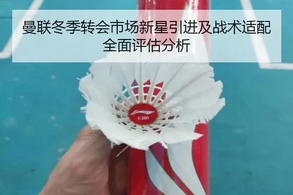 曼联冬季转会市场新星引进及战术适配全面评估分析